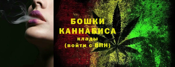 мдпв Горнозаводск