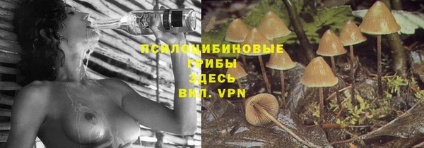 jwh Гусиноозёрск